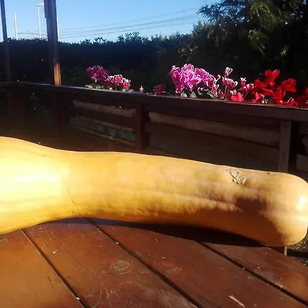 ファームステイ Agriturismo Baita Marina アルベンガ