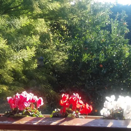 Agriturismo Baita Marina